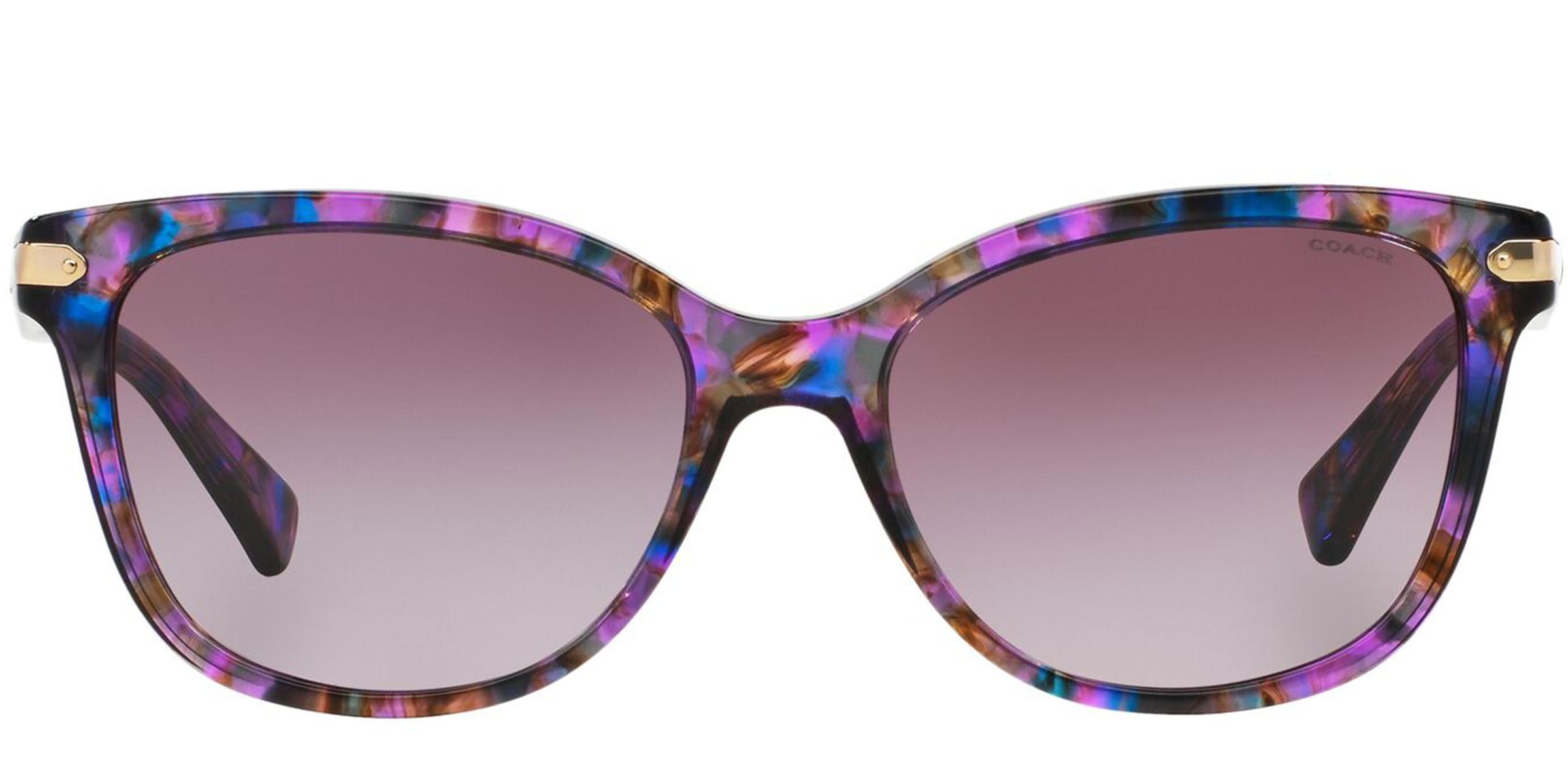 Coach HC8132 L109 sunglasses for women in Purple Confetti Tortoise