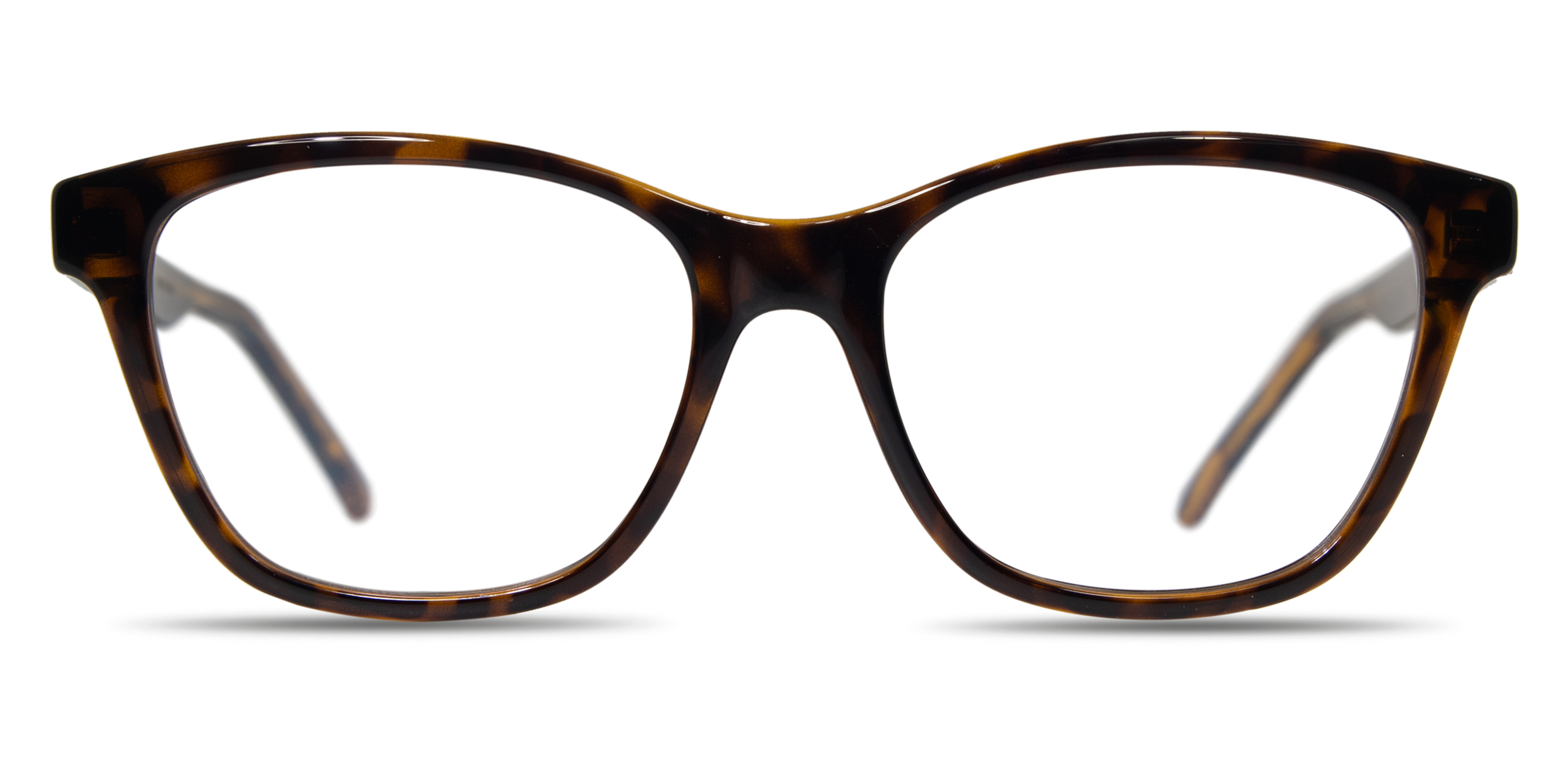 Buy Saint Laurent SL 338 eyeglasses for women at For Eyes