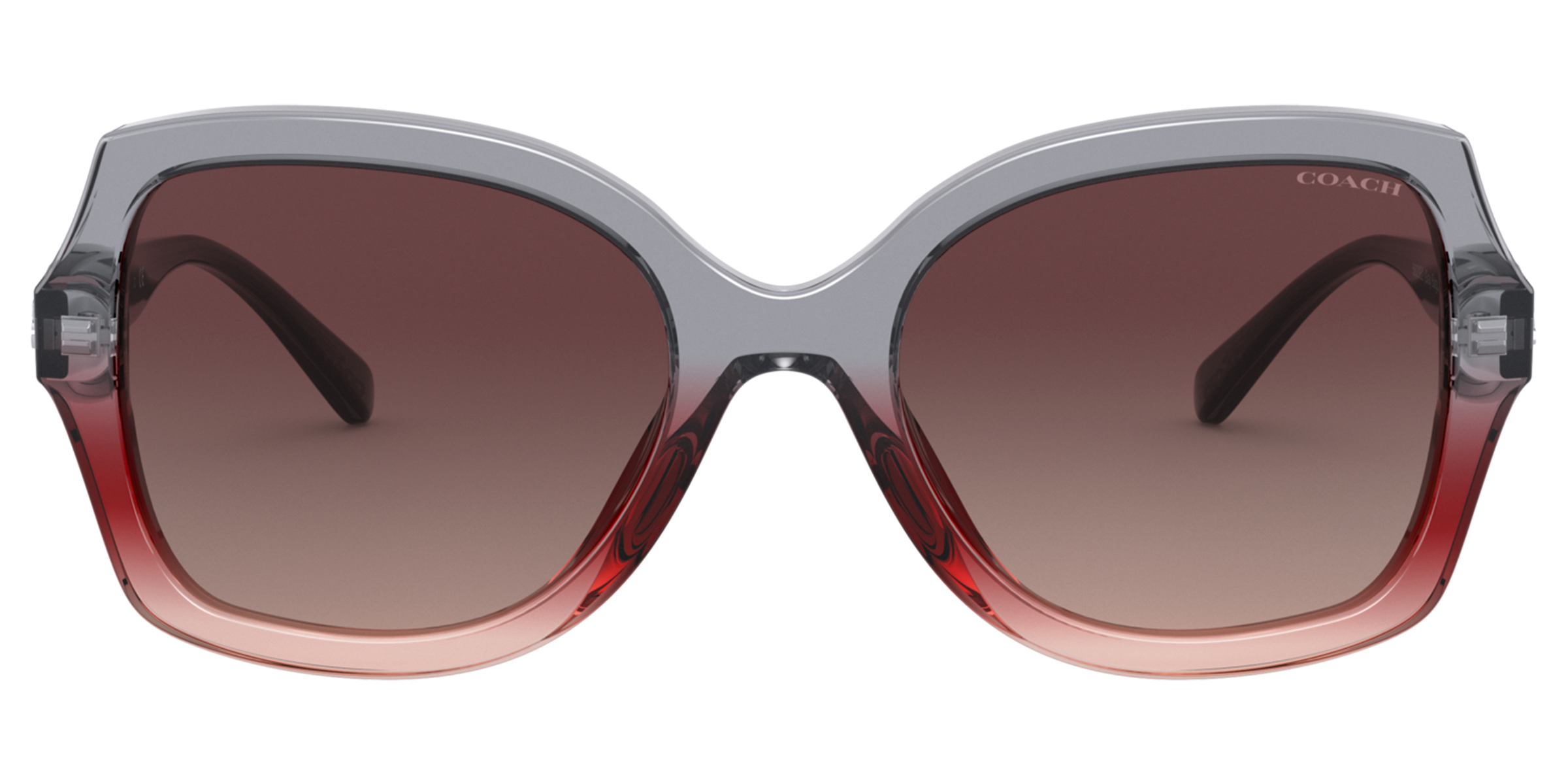 Coach HC8295 sunglasses for women at For Eyes